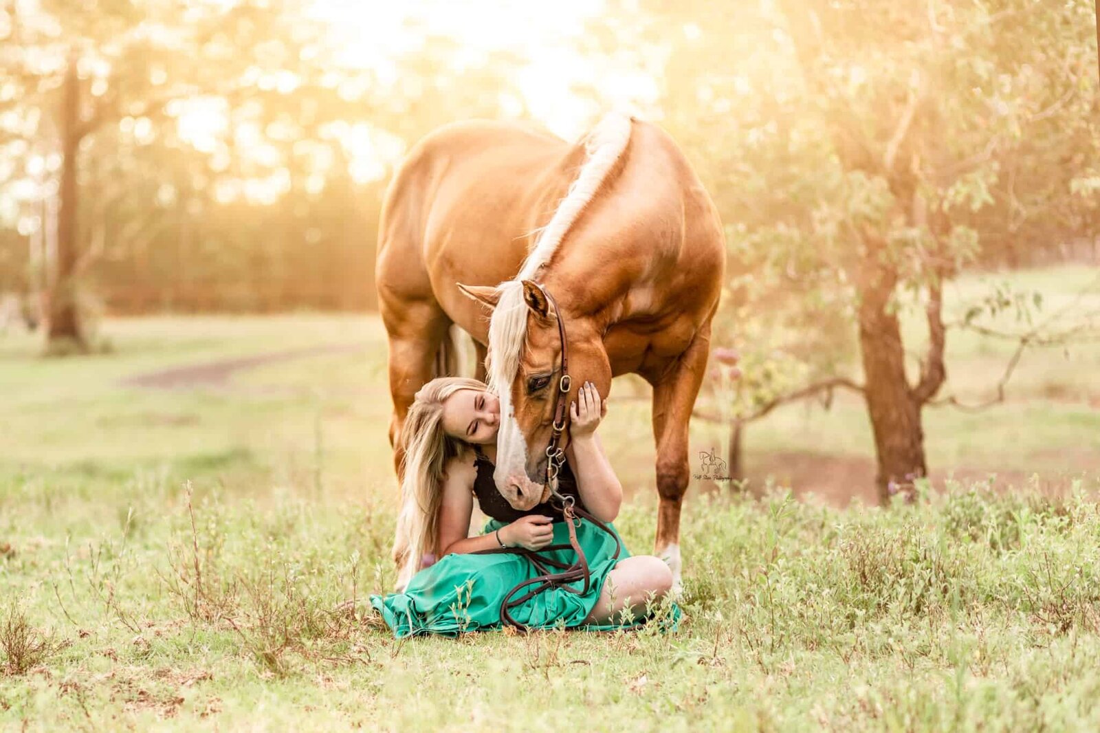 2 .Hawkesbury Equine Photographer girl kissing horse Half Steps Photography