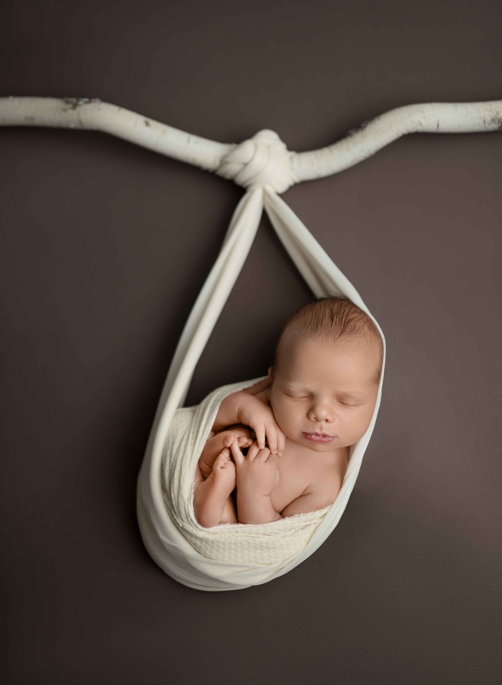 Baby hanging from birch branch, in a white swaddle and sleeping.