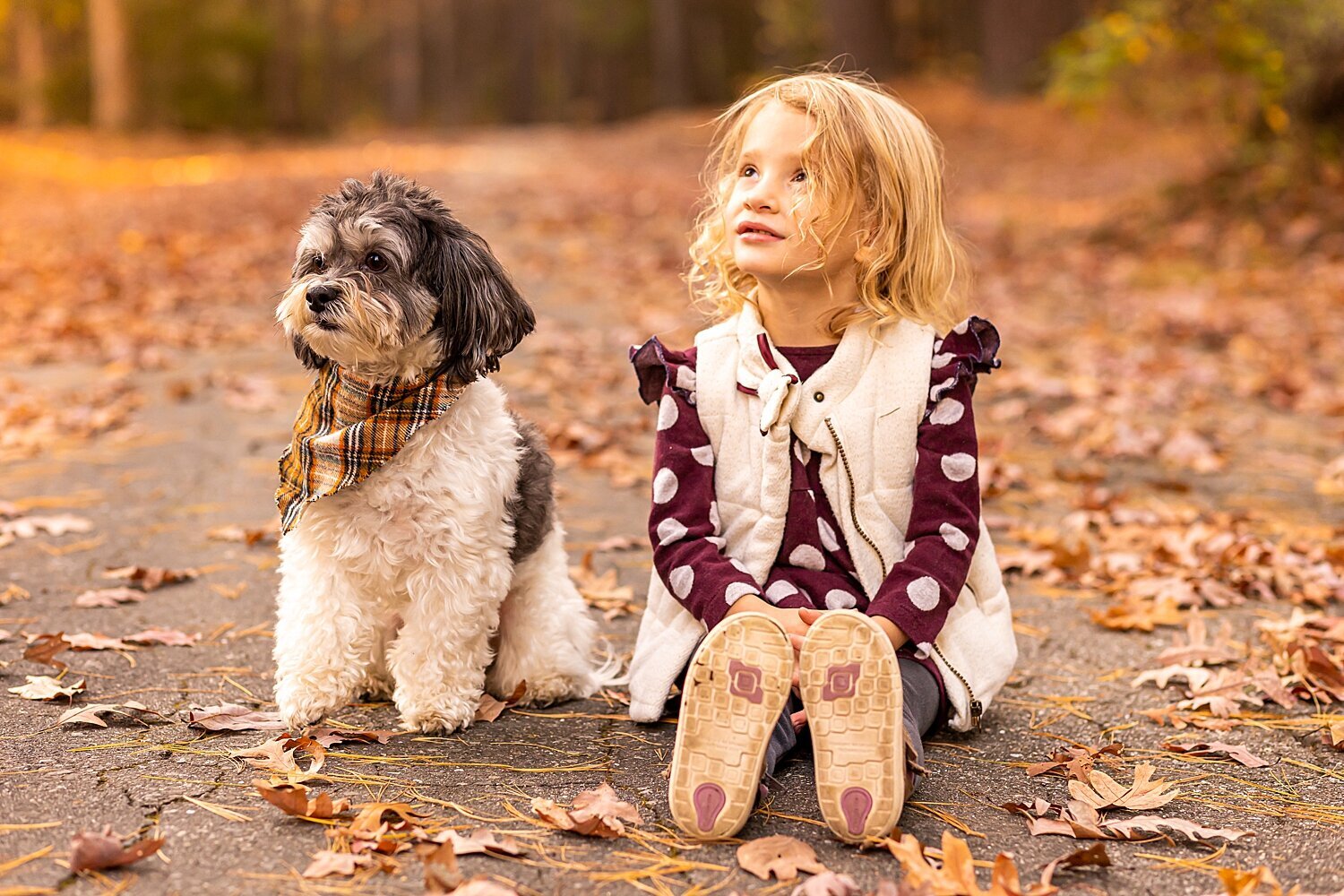 Young girl and her dog look away during their fall family photo session at Greeley Park in Nashua, New Hampshire