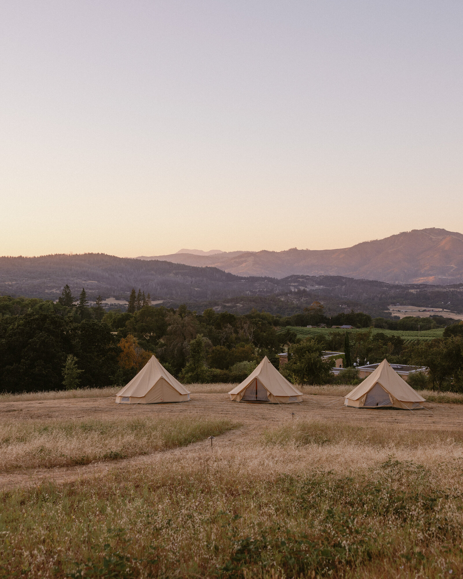 Three glamping tents in grassy field in Sonoma at dusk with pink and purple mountain range in the background 