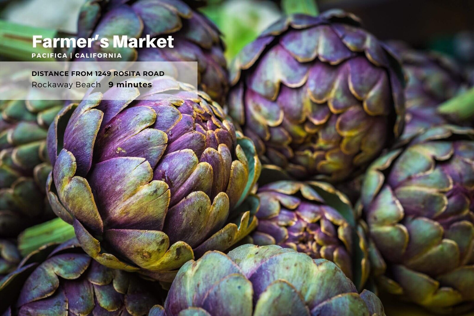 mls24_michael-jimenez-pacifica-realtor-san-francisco-homes-for-sale-farmers-market
