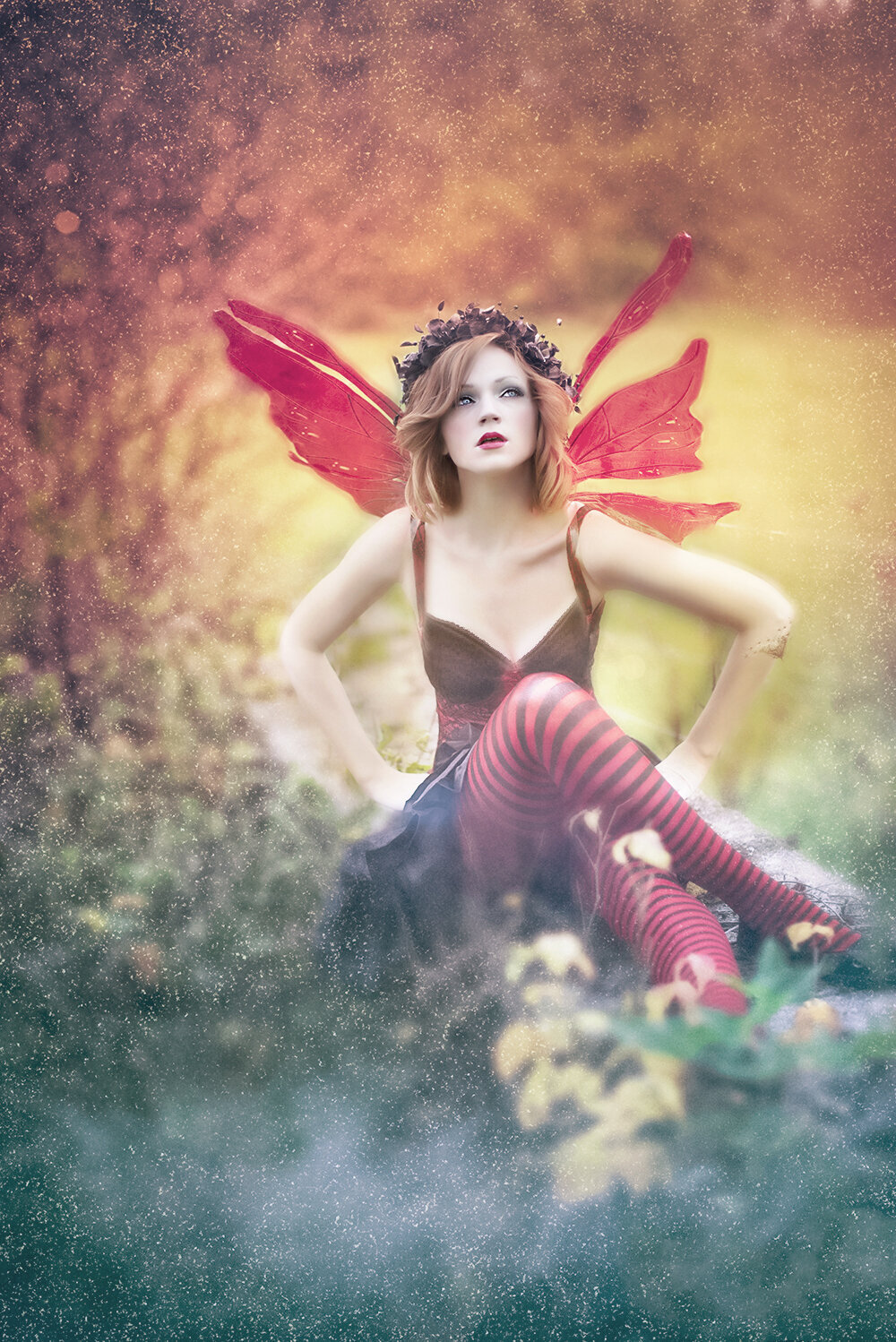 Fairy Dreamer Color