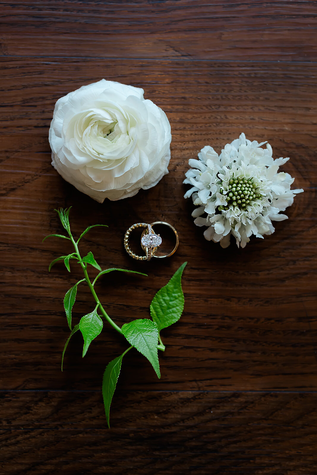 Nicole_and_Anthony_Casa_Romantica_Wedding-99