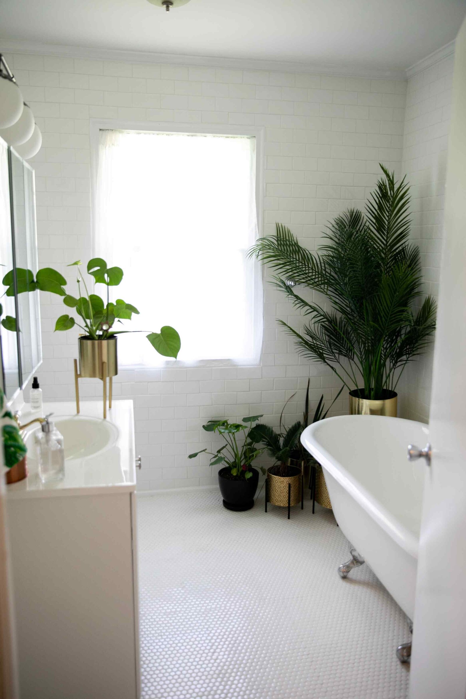 white bathroom with clawfoot tub and plants
