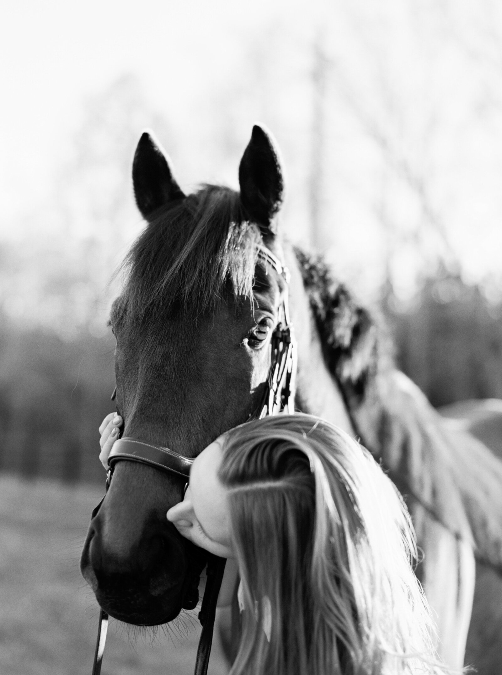 nc-equine-photographer-daniellejamesstudios-18