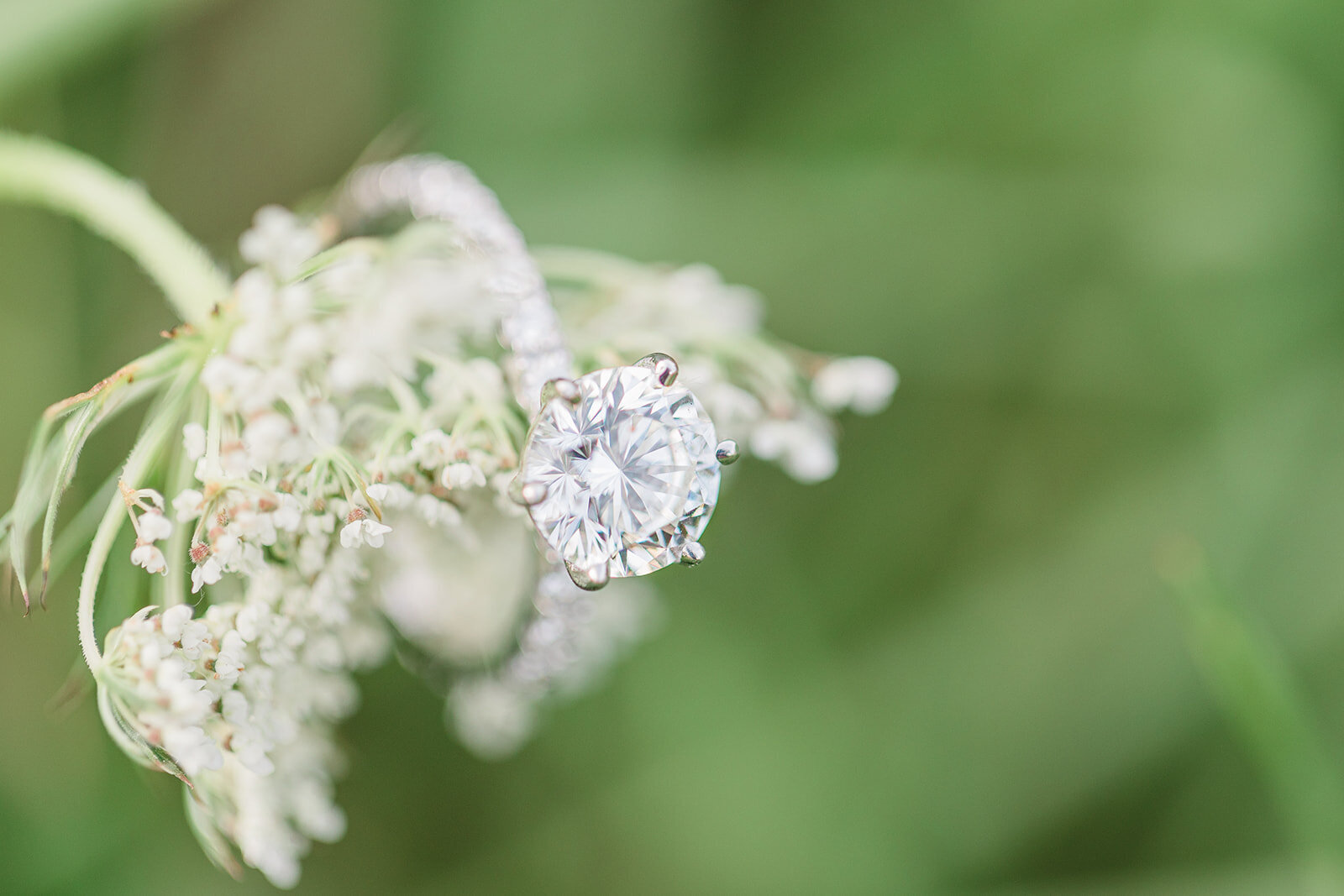 SOC_8.6.21_MalikAmanda_Proposal_Fav-59_websize