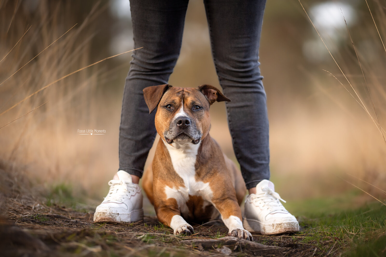 _DSC8793-bewerkt