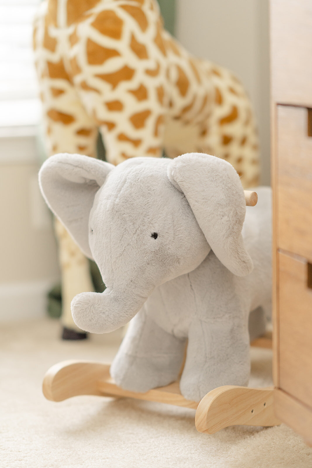 elephant rocking toy during product picture in Fredericksbug,Virginia