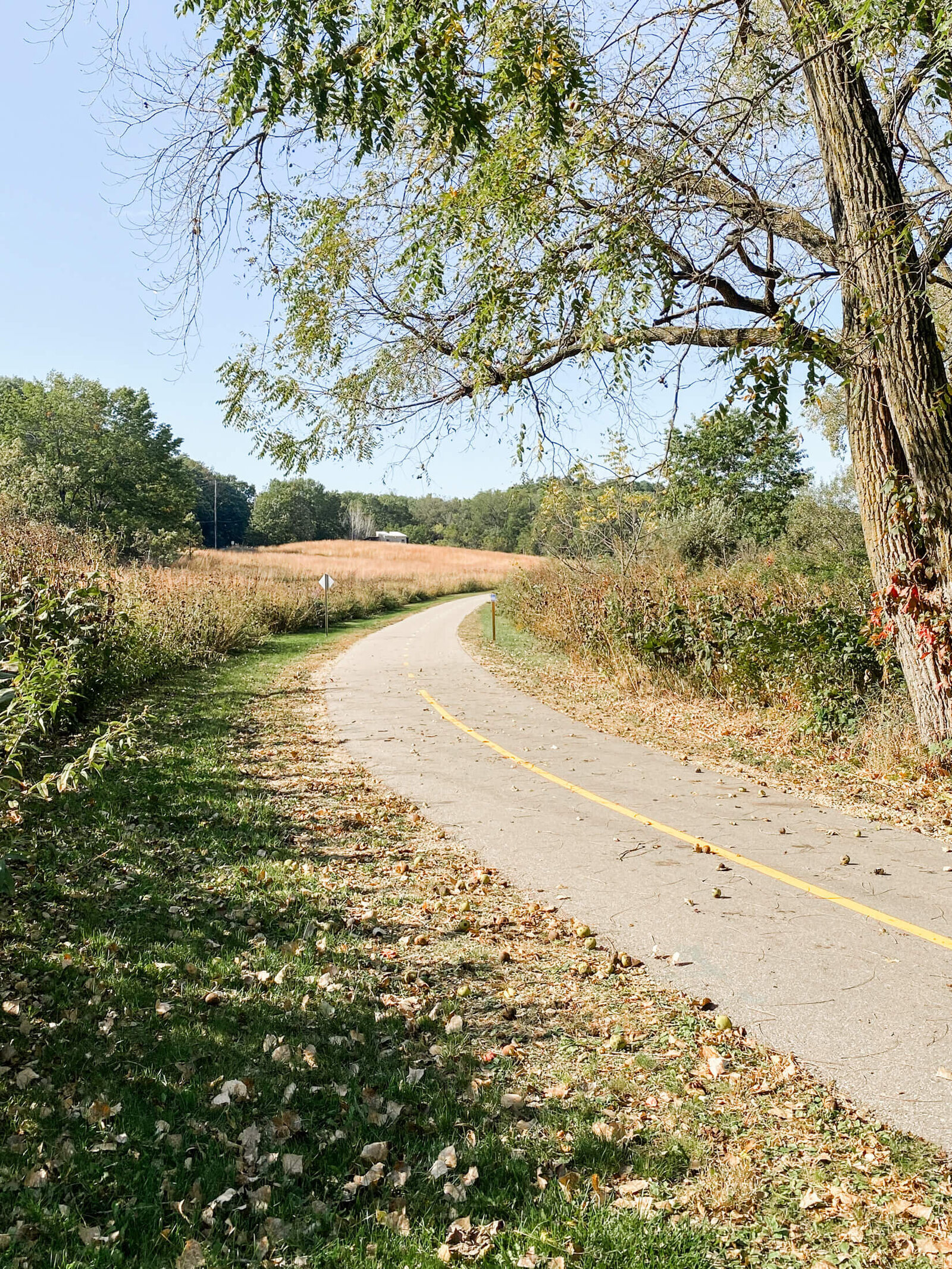 Fitchburg-7