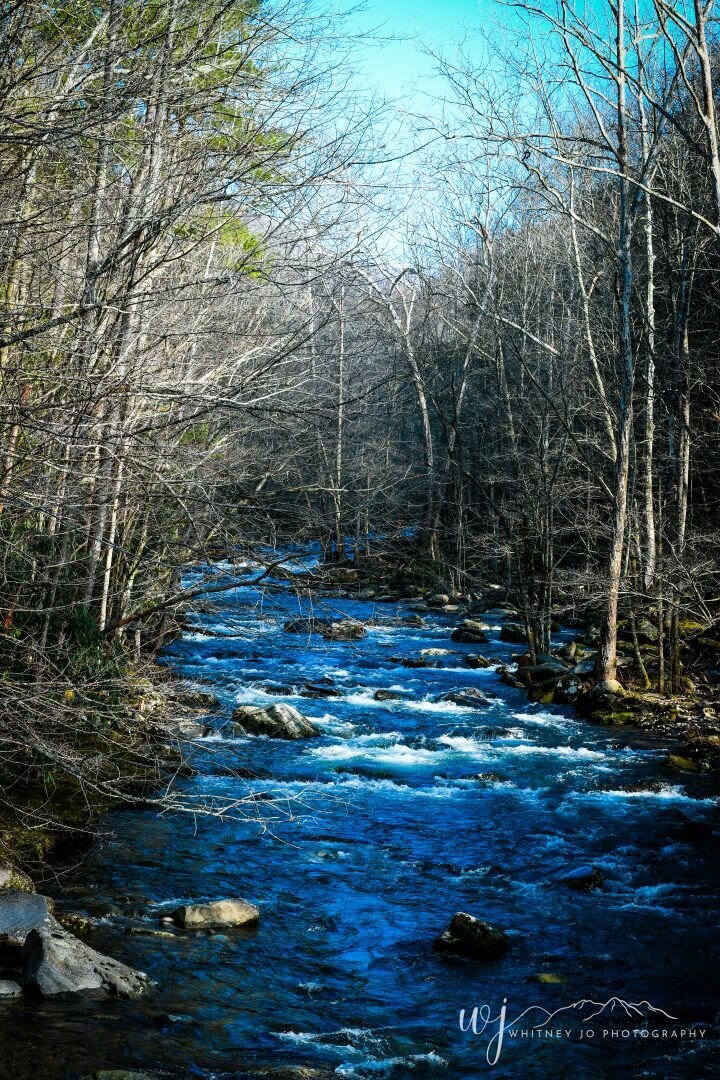 Elkmont Great Smoky Mountains National Park