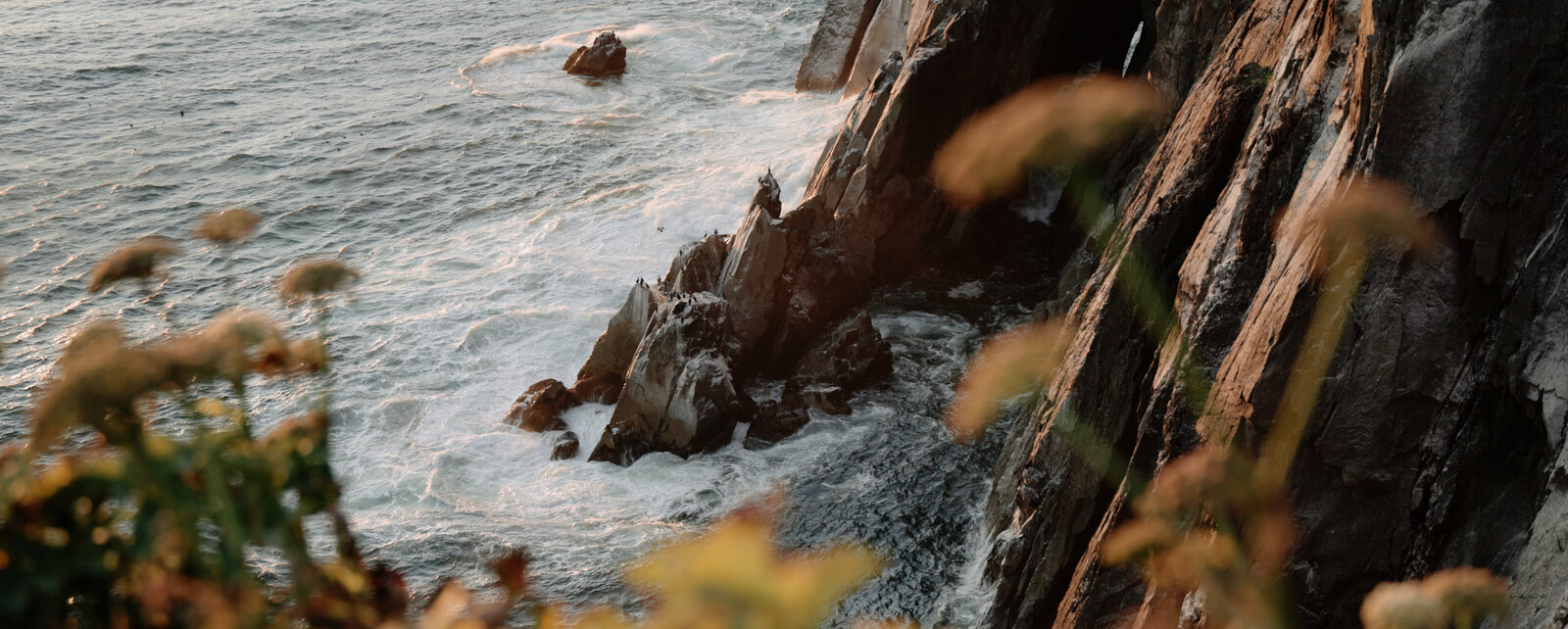 Selects.00_24_28_20.Still035
