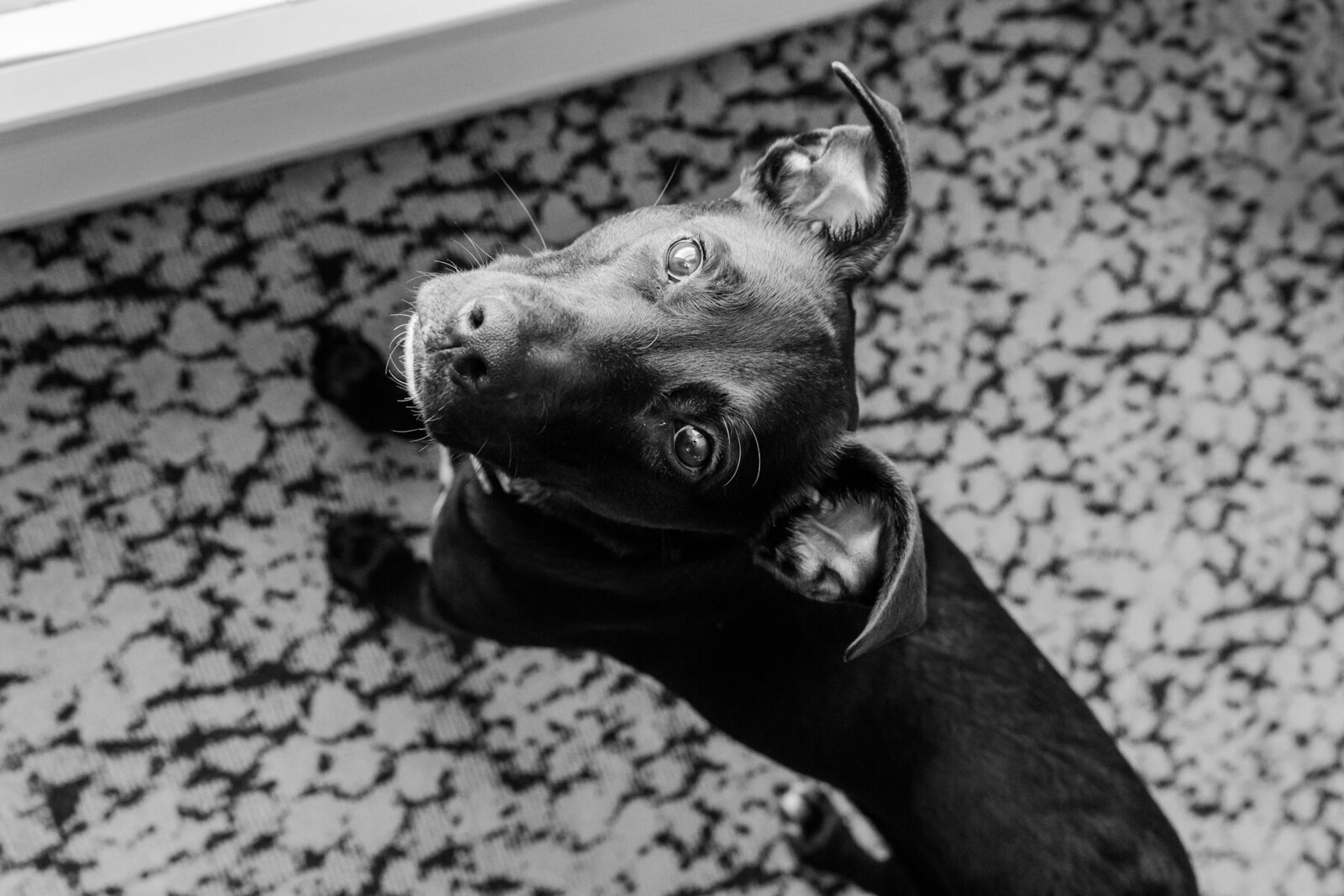 2025 02 22-Pavilion on Crystal Lake Wedding-Middletown CT-Amanda Jerry-00-BLOG-021