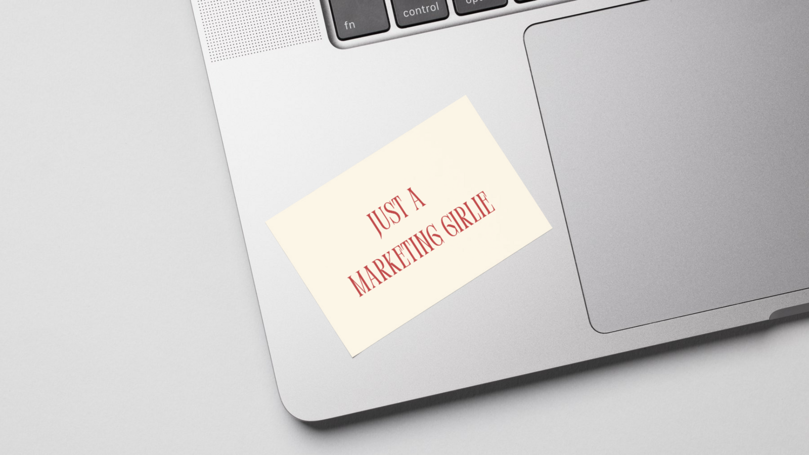 AD Brand Guidelines (3)