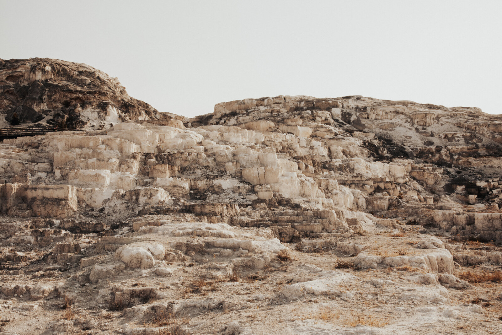 Yellowstone National Park Photography