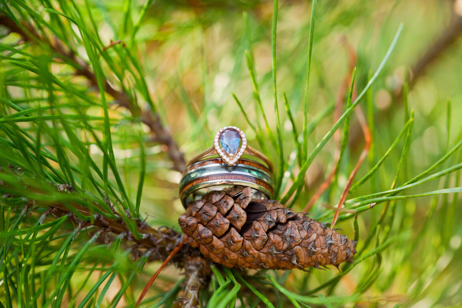 Rings on Pinecones