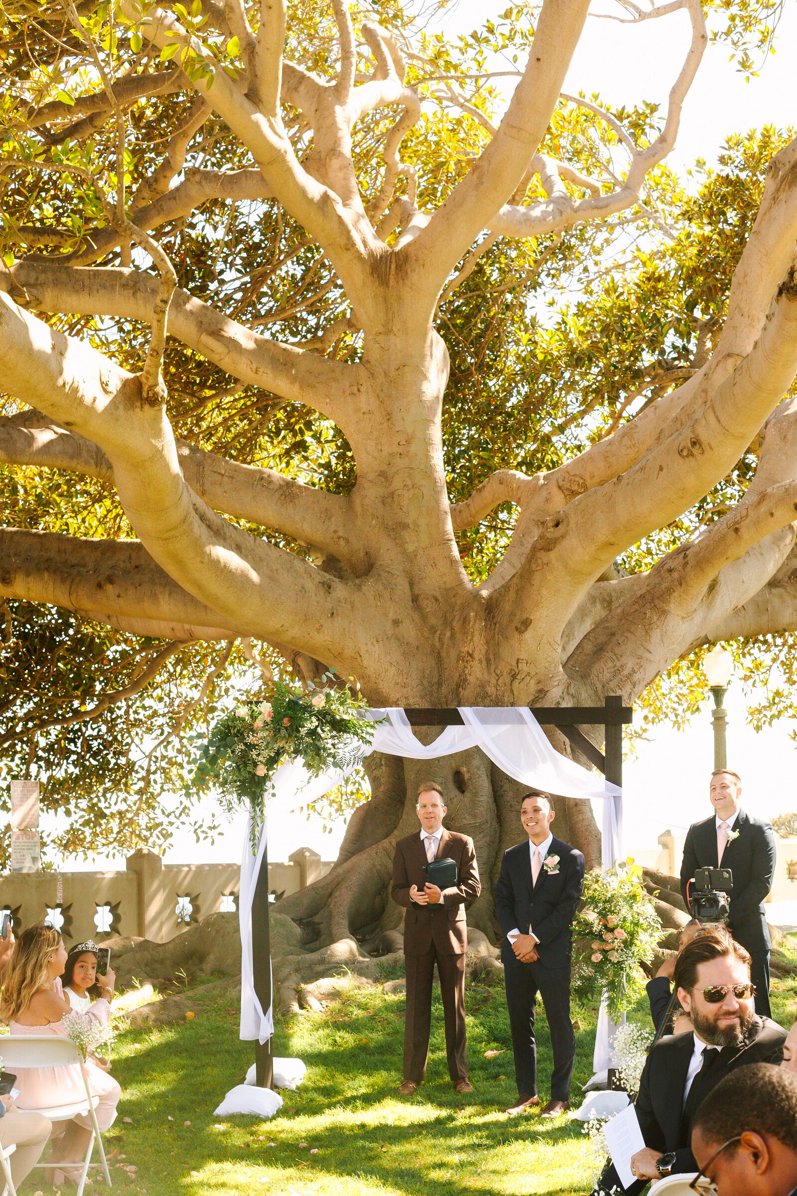 A sunny Los Angeles wedding ceremony under a large tree.