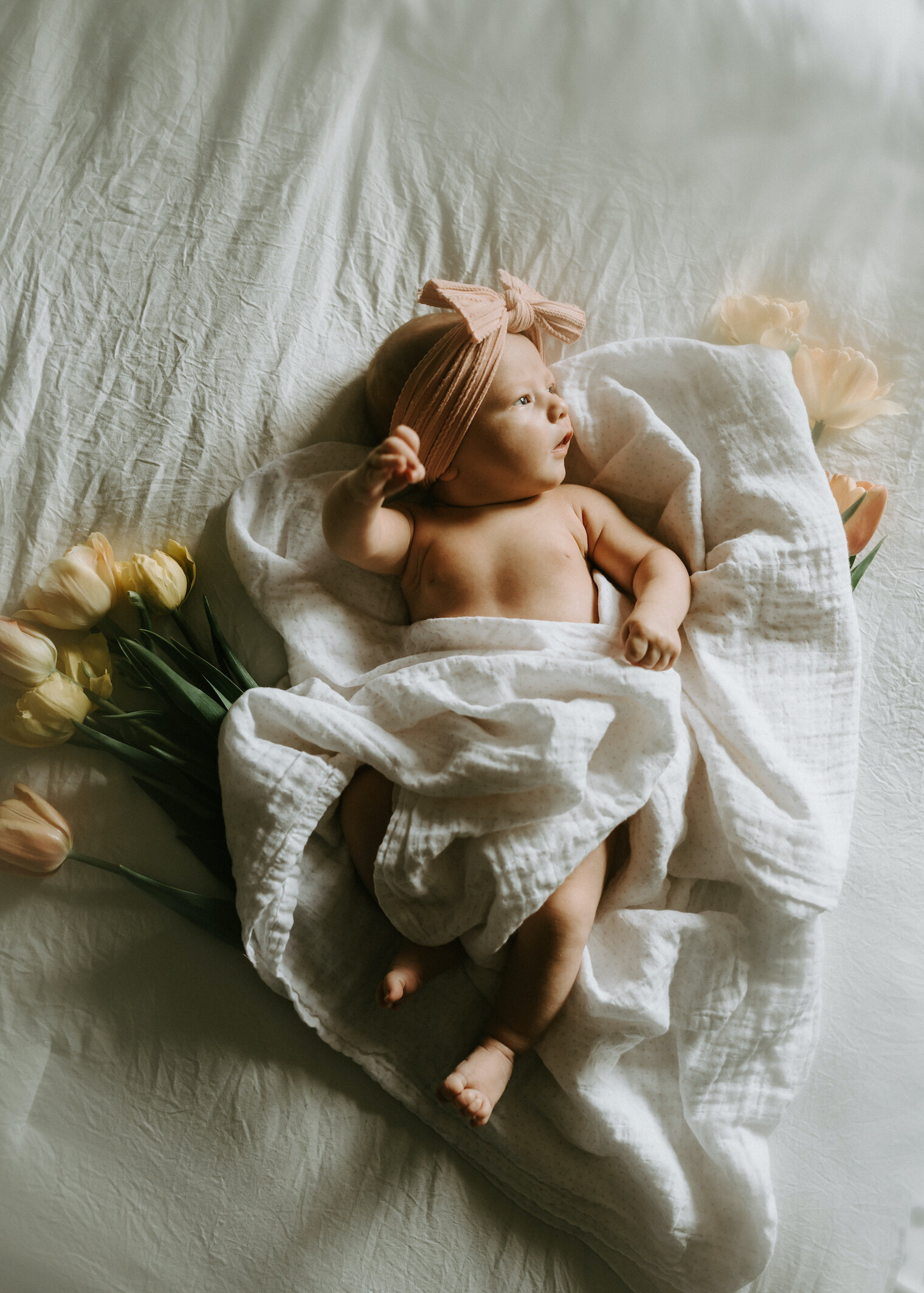 twin cities-spring-floral-inspired-newborn-photography-session5