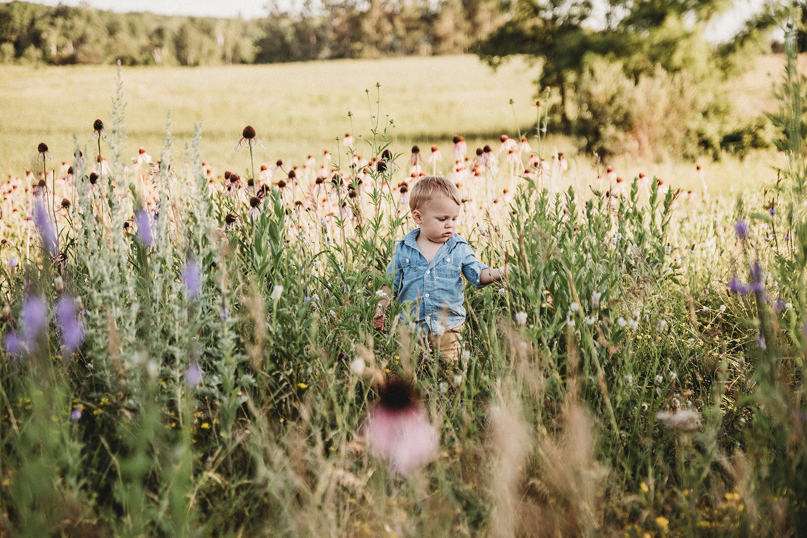 FamilySession-6702_websize