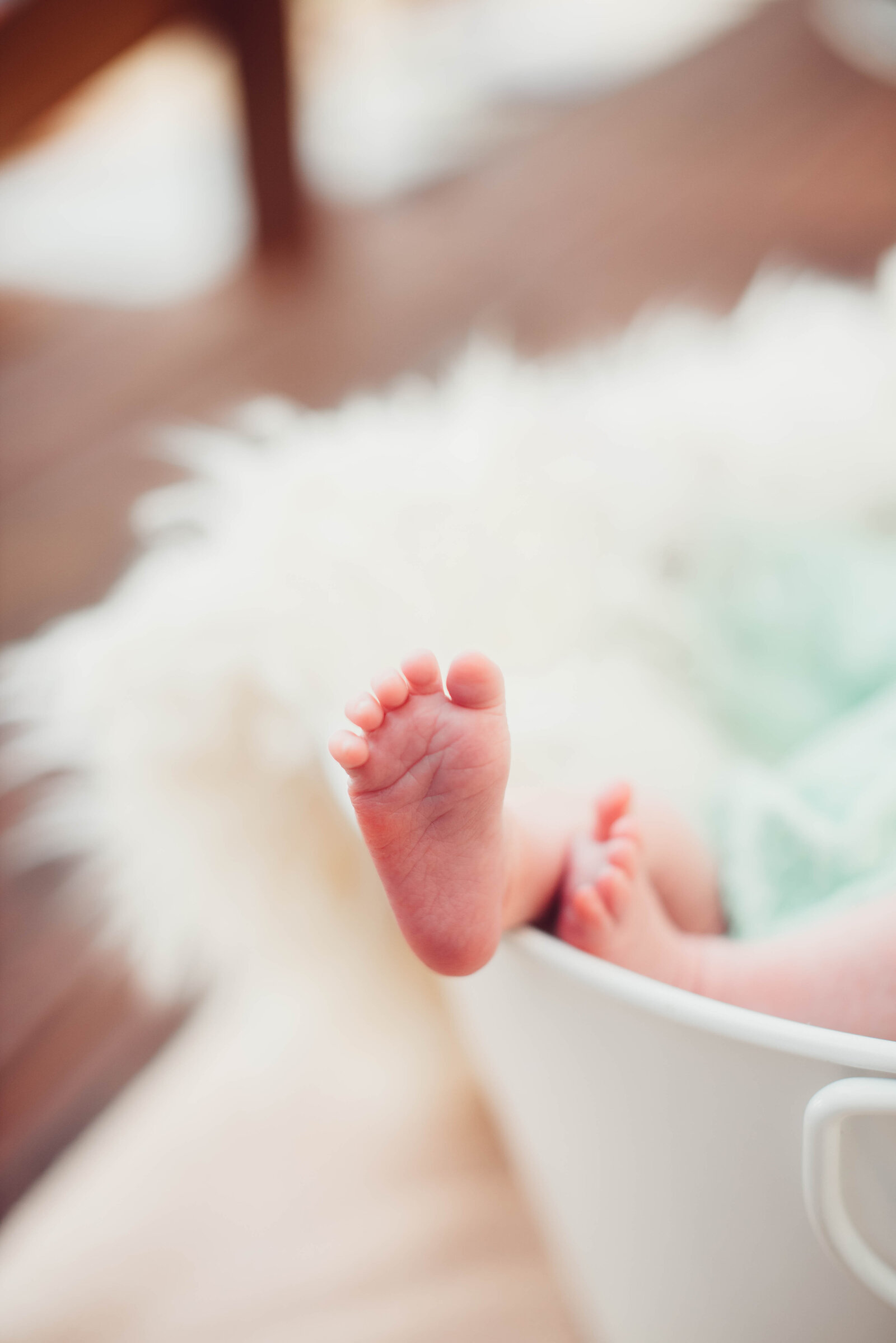 Taylor Newborn 02