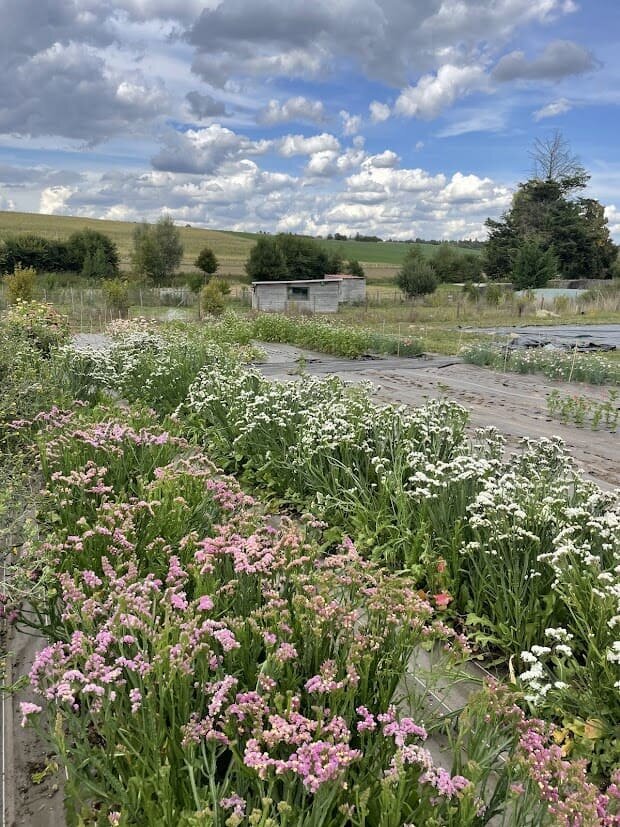 classesflorale_worshop_fermeflorale_17