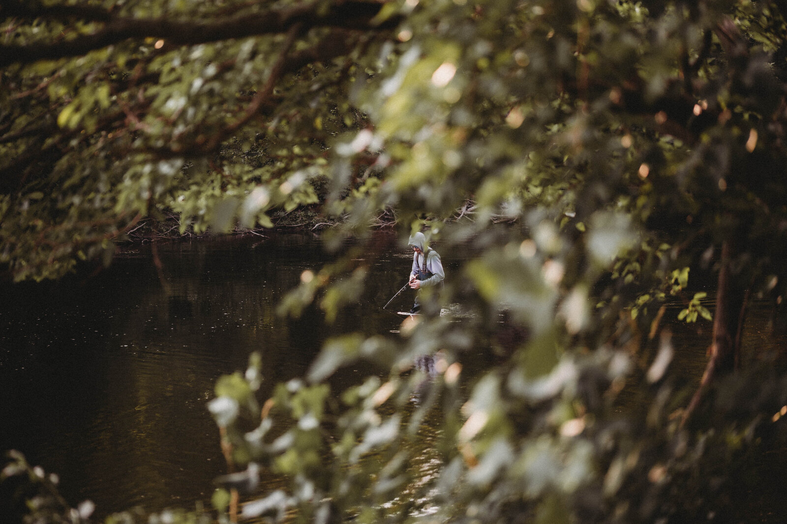 parkersburg-west-virginia-family-session