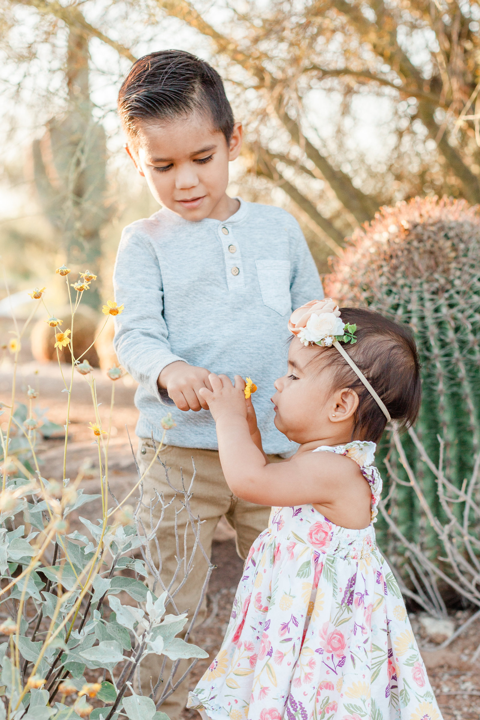 Gilbert Family Photographer-5503