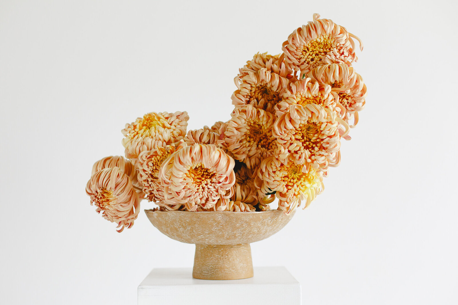 classesflorales_worshop_conceptcollectif_3