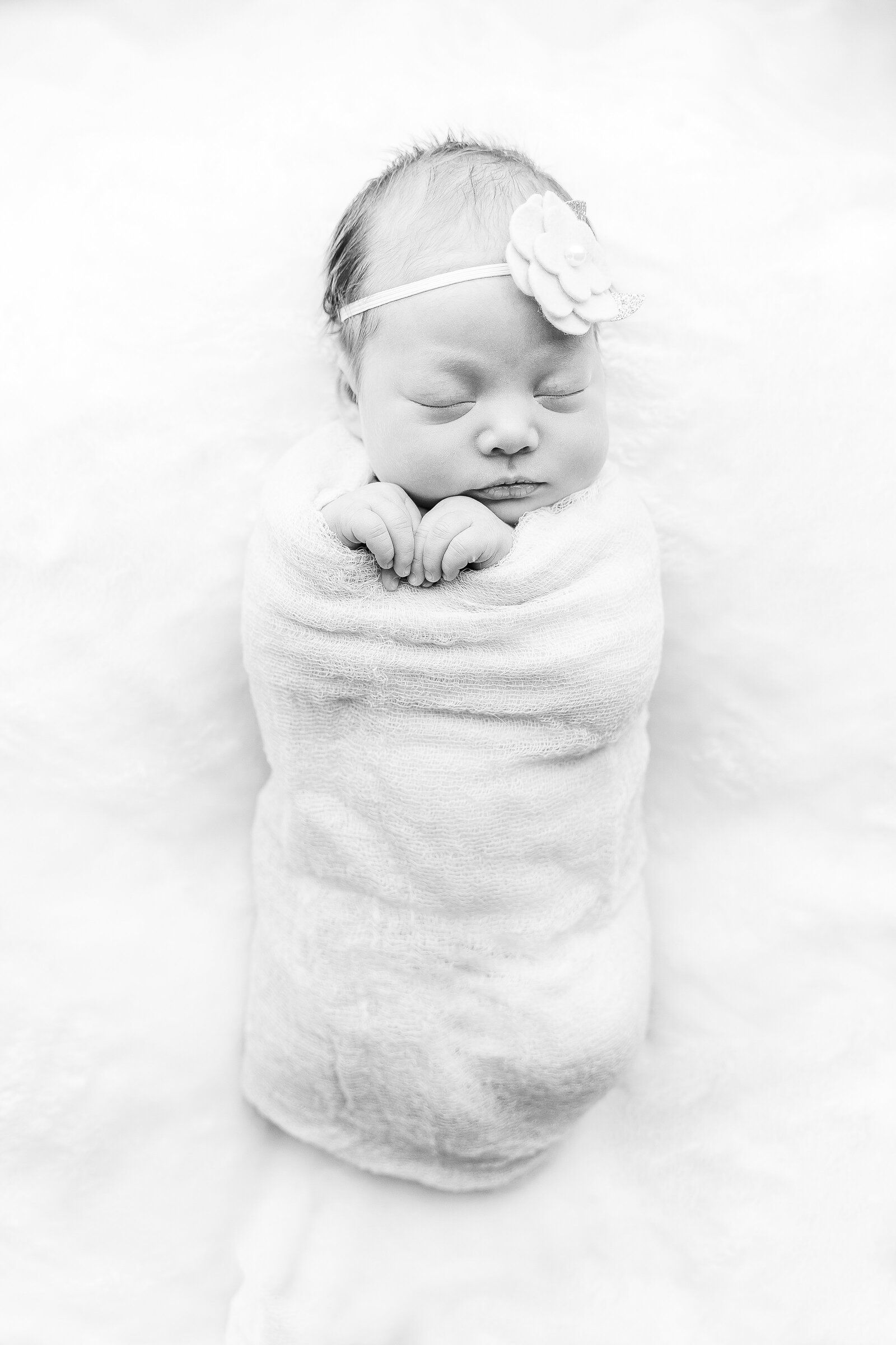 dallas newborn photography