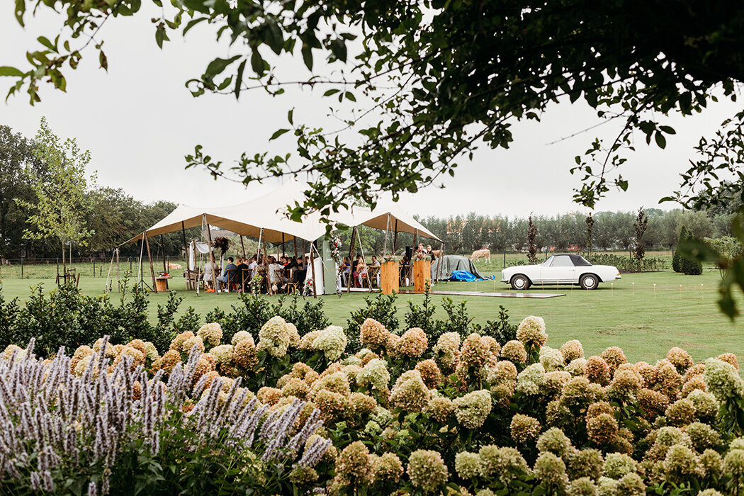 stretchtentbruiloft, trouweninderegen, regentrouwfotoinspo, trouweninbrabant, trouwfotograafbrabant, trouwfotograafrucphen, zundert, schijf, rijsbergen, roosendaal, halderberge, trouwfotolocatieinspo