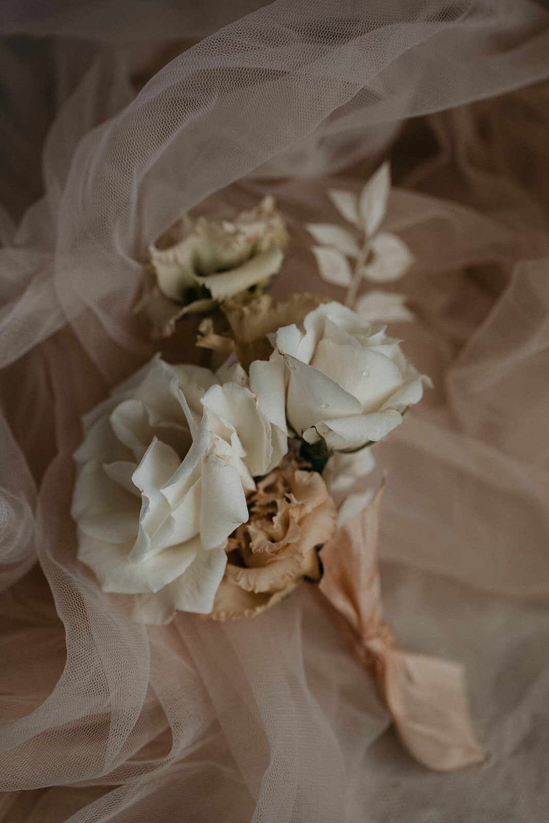 048_Jennifer_Ryan_Micro_Wedding_7.25.20-106