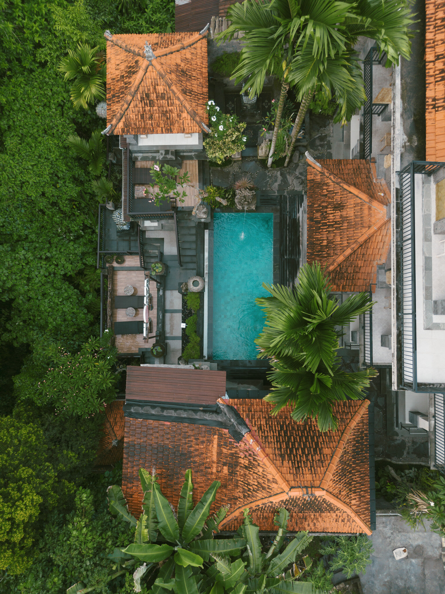 20241128-DJI_0050