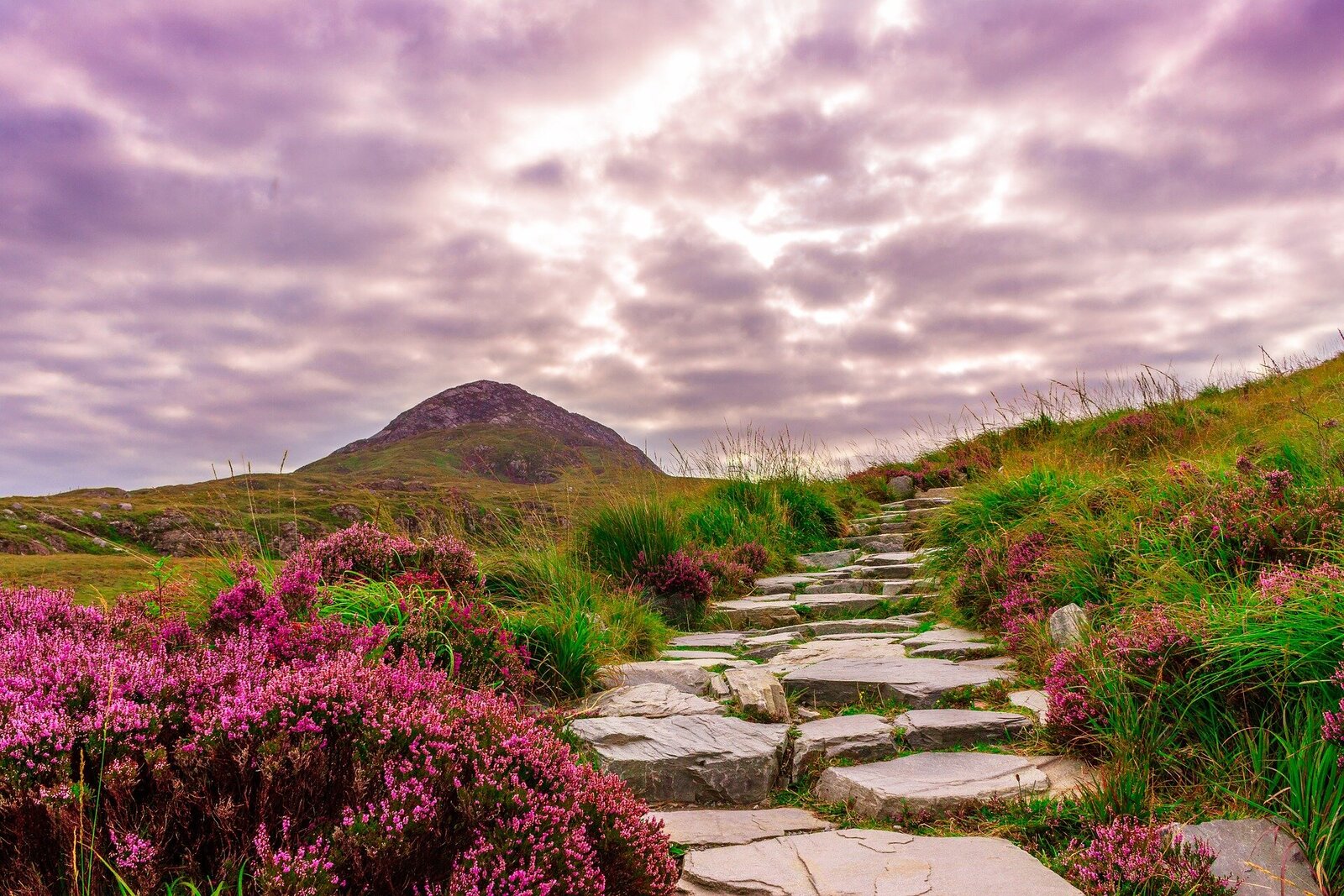 #14 Spring in Ireland