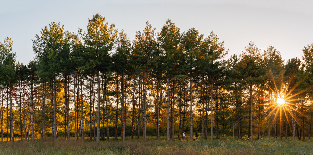 Jacob & Taylor-305-Pano-Edit