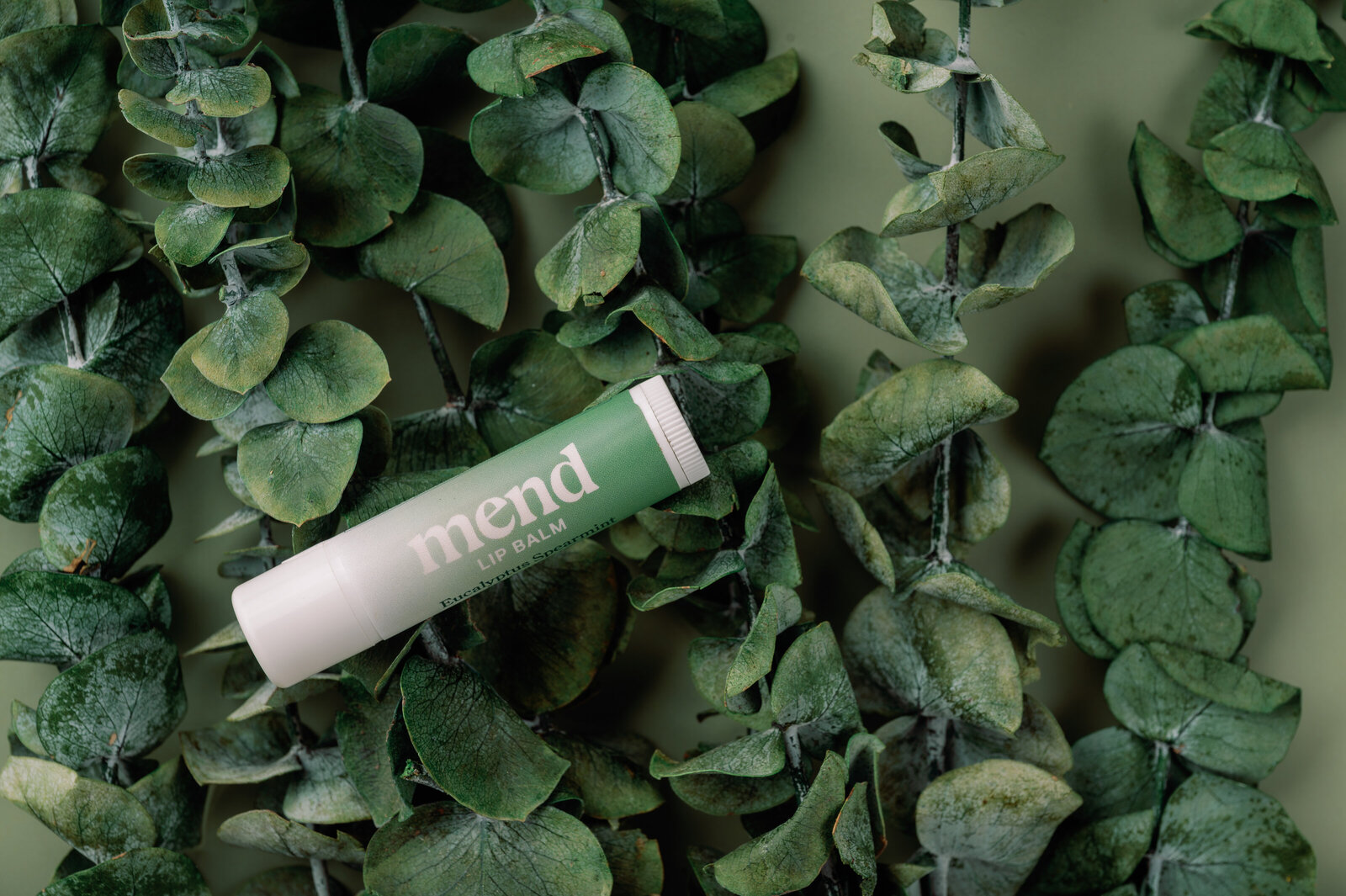Mend_eucalyptus-23-04-web