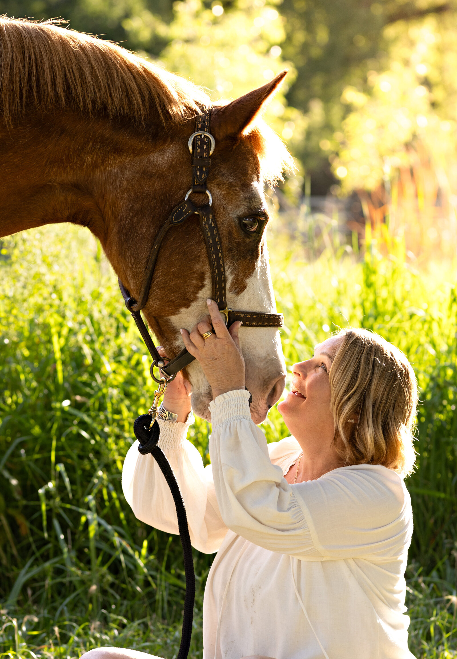 Northern California Equine Portraits
