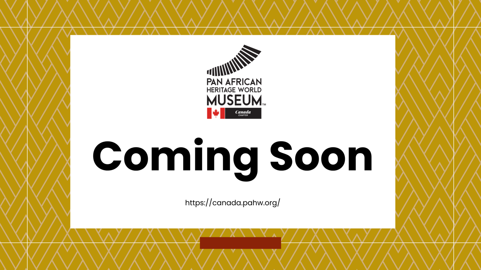PAHWM Branded Presentation Logo 12