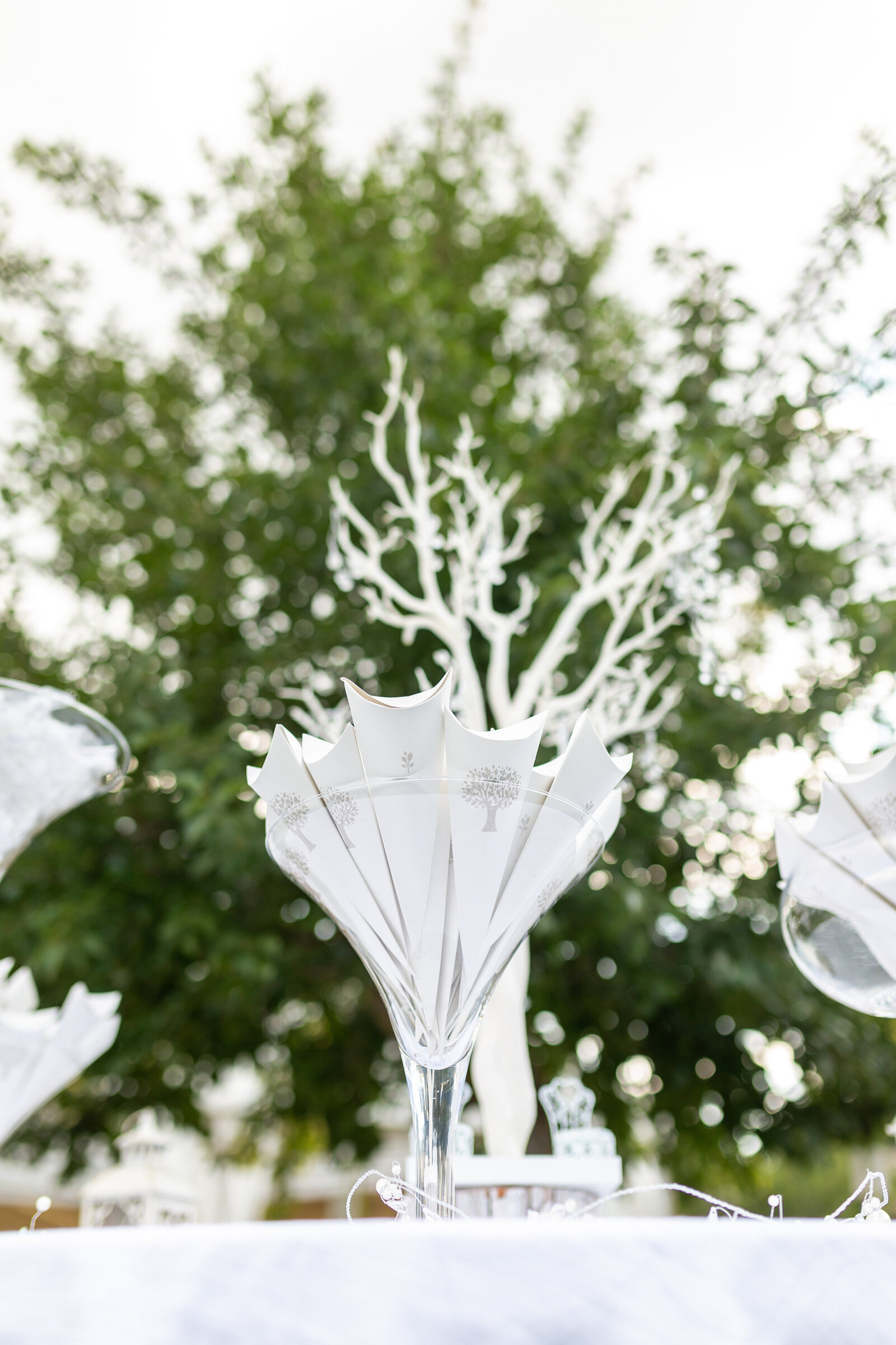 Wedding photography EeP-53
