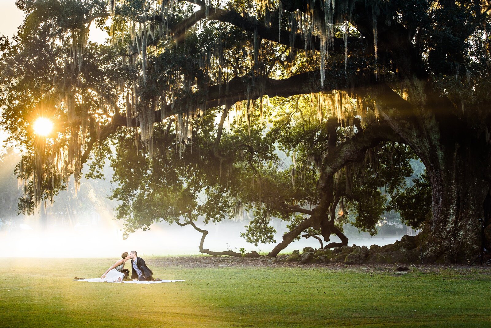 Couple sits on grass near Tree of Life in Audubon Park with dramatic sunrise behind them