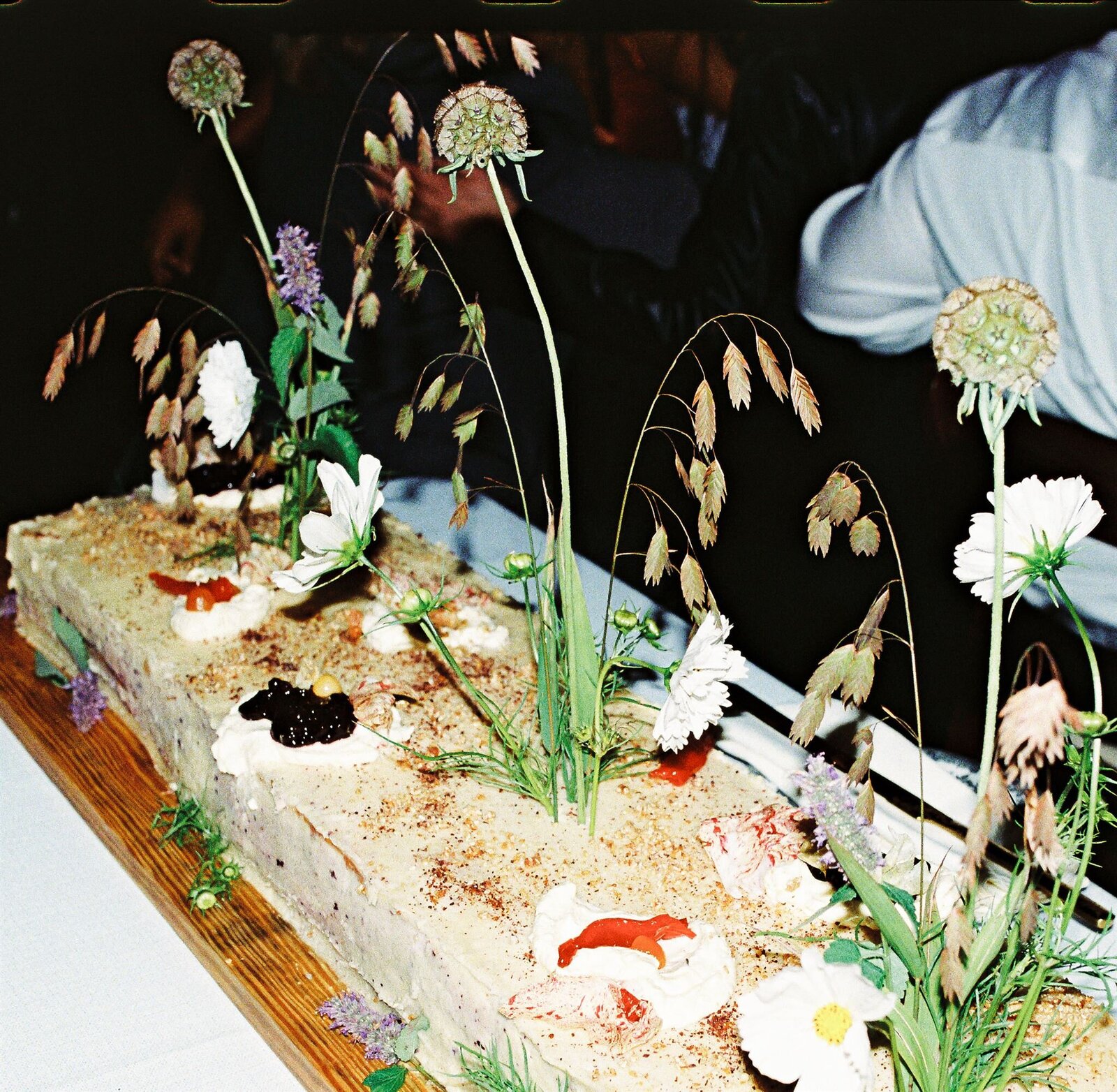 04262tgphoto_websize