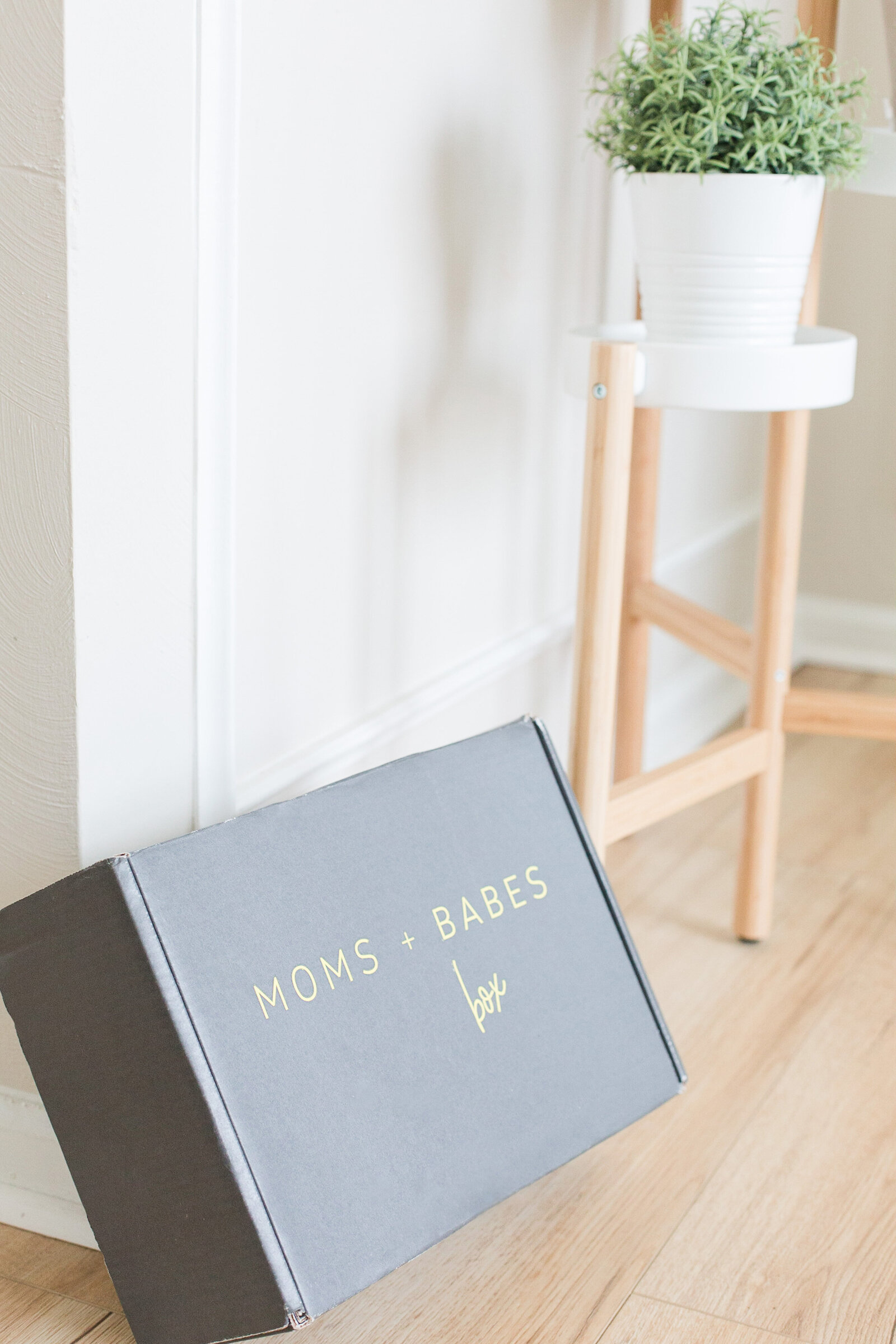Moms Babes Box-1