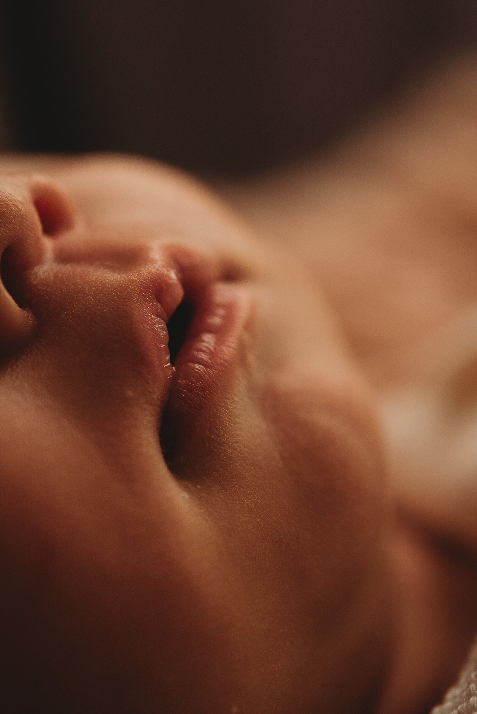 bruner-newborn-bismarck-studio-9