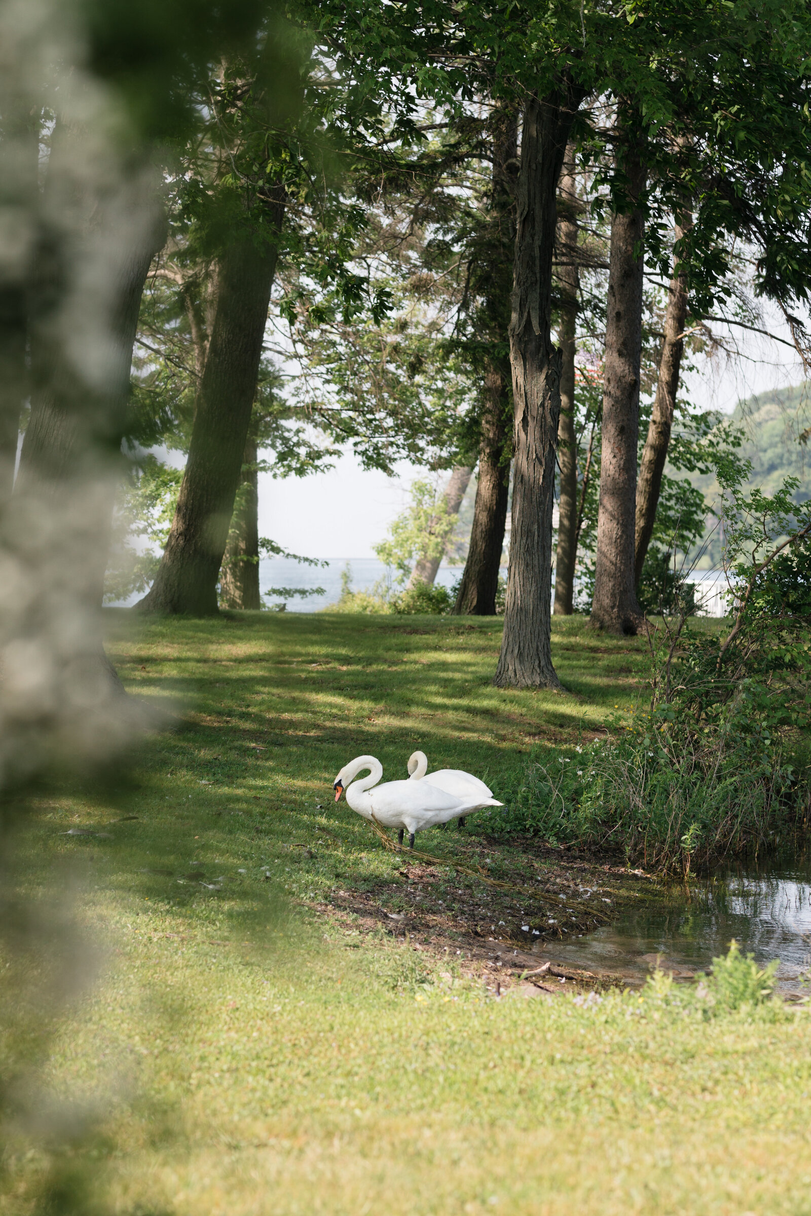 Upstate new york wedding photographer