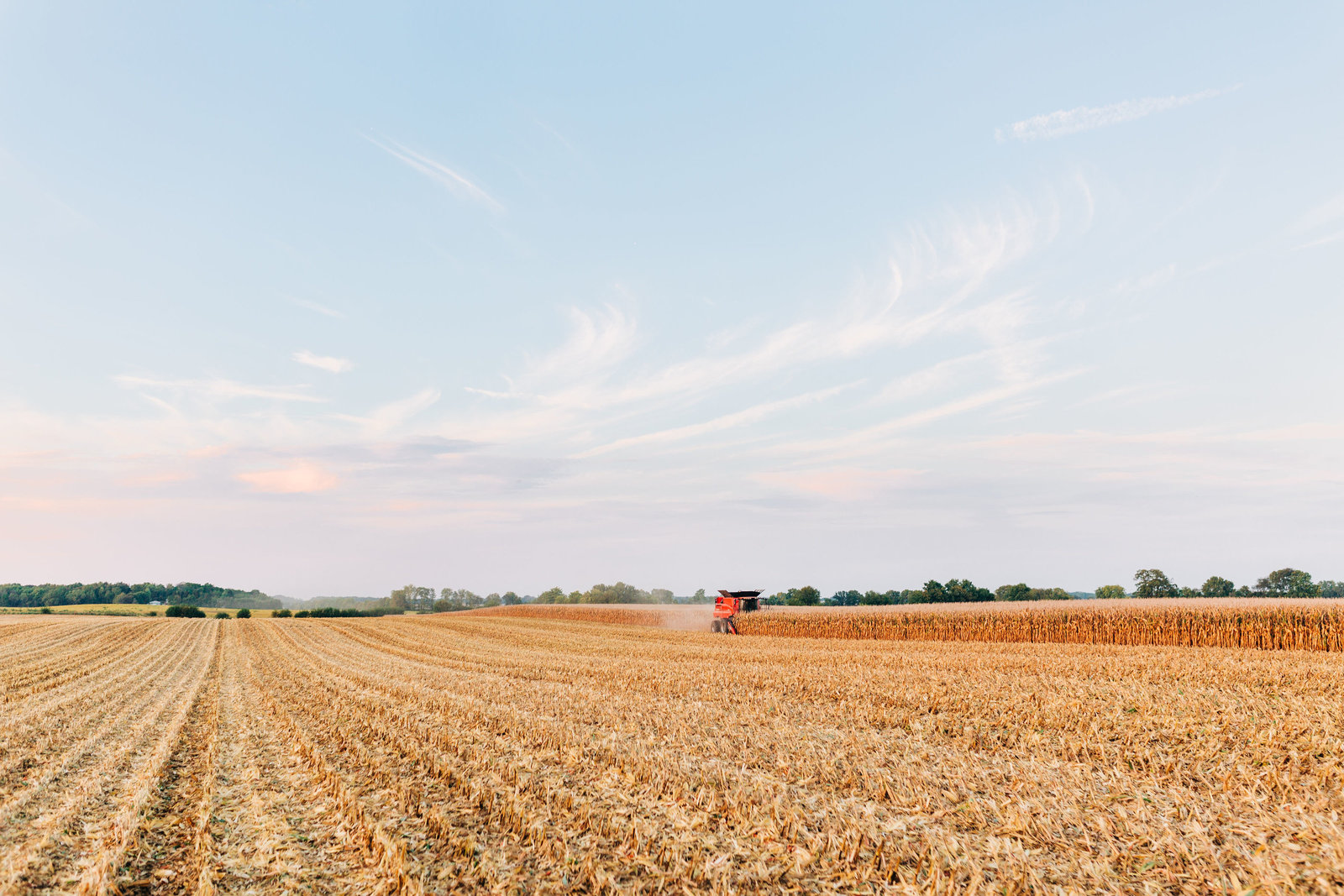 RippyFarms2019-172