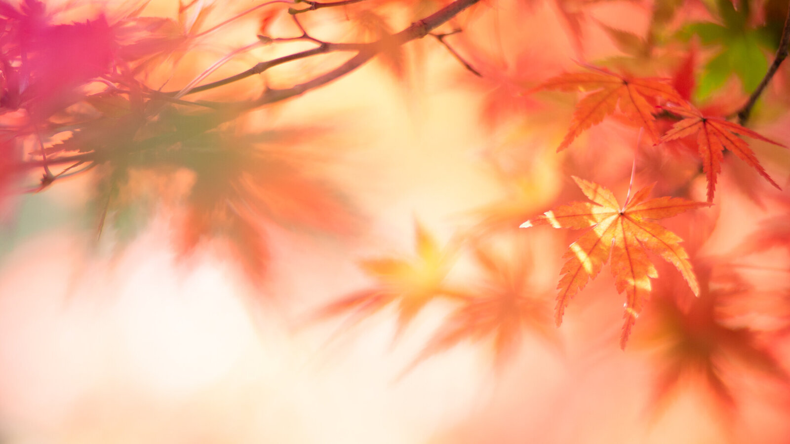 fine_art_photographer _109