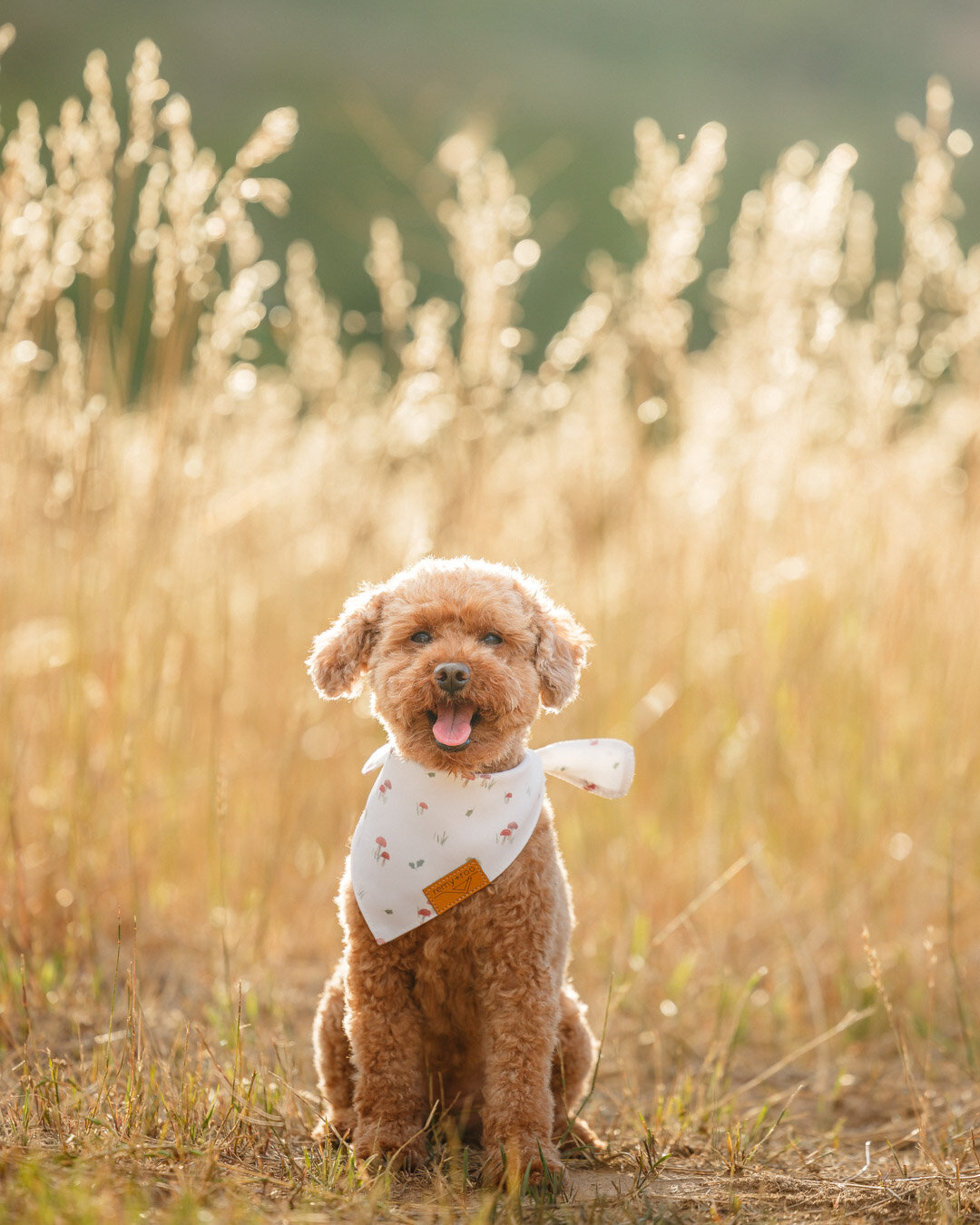 Marigold Lifestyle-3565-Instagram