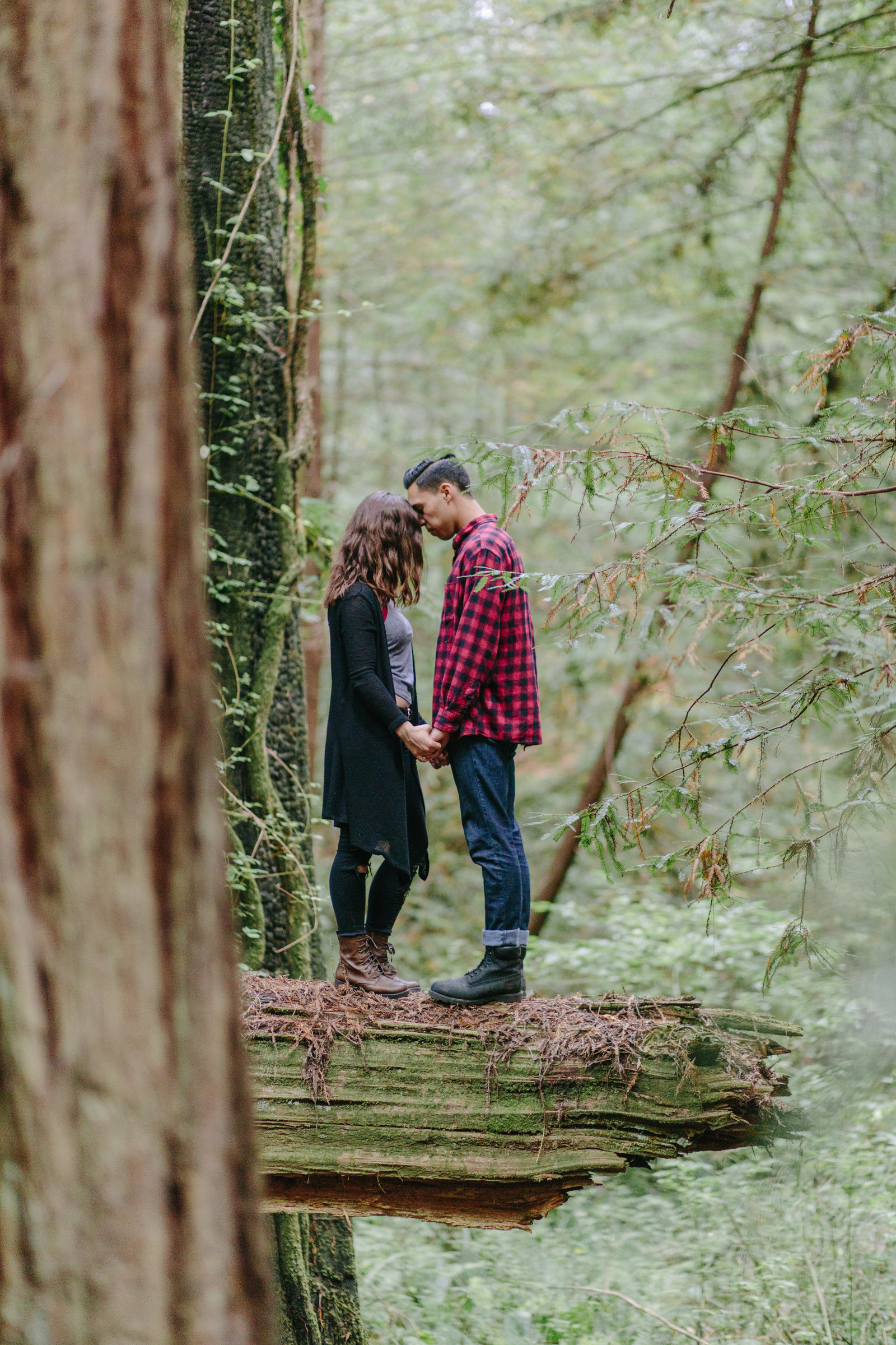 Redwood National Park Avenue of the Giants Engagement Session -7695