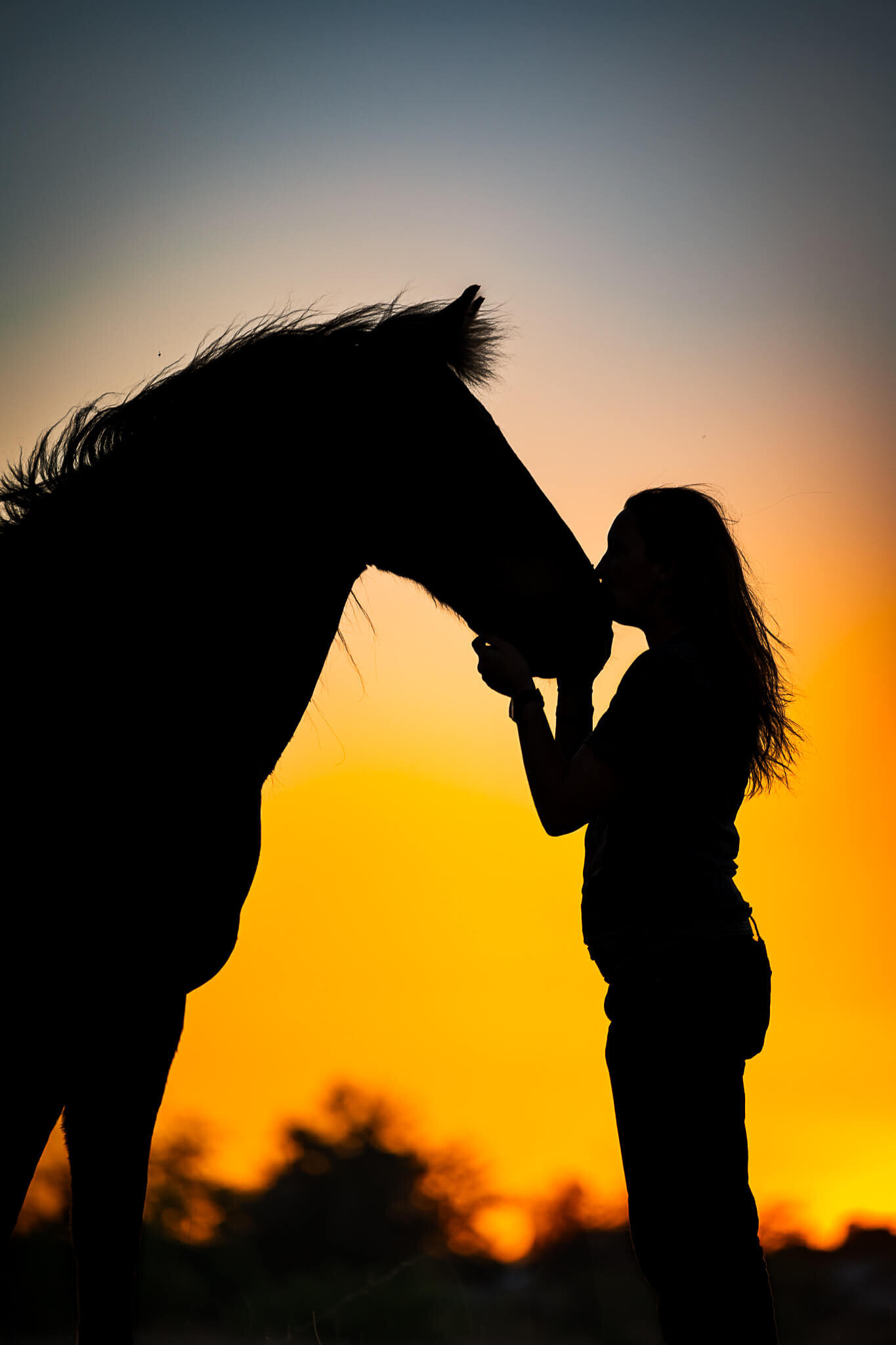 El-Paso-Texas-Horse-Photographer-059