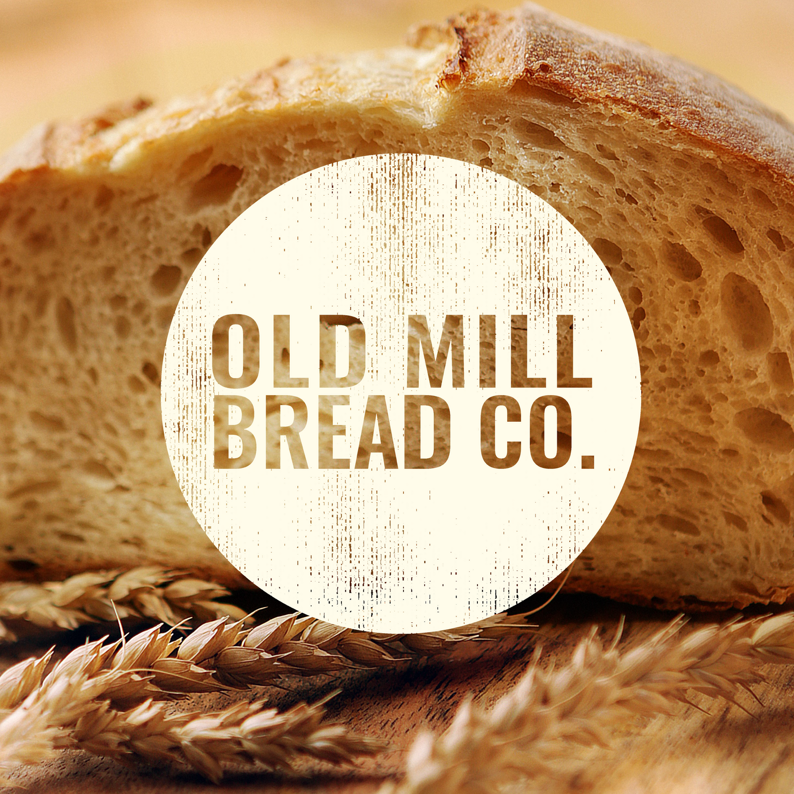 Liberty Type Branding and Website Design Agency Knoxville, Tennessee Therapist Brand Therapist Branding Chiropractor Brand Chiropractor Branding Doctor Brand Doctor Branding Nutritionist Brand Nutritionist Branding Interior Designer22