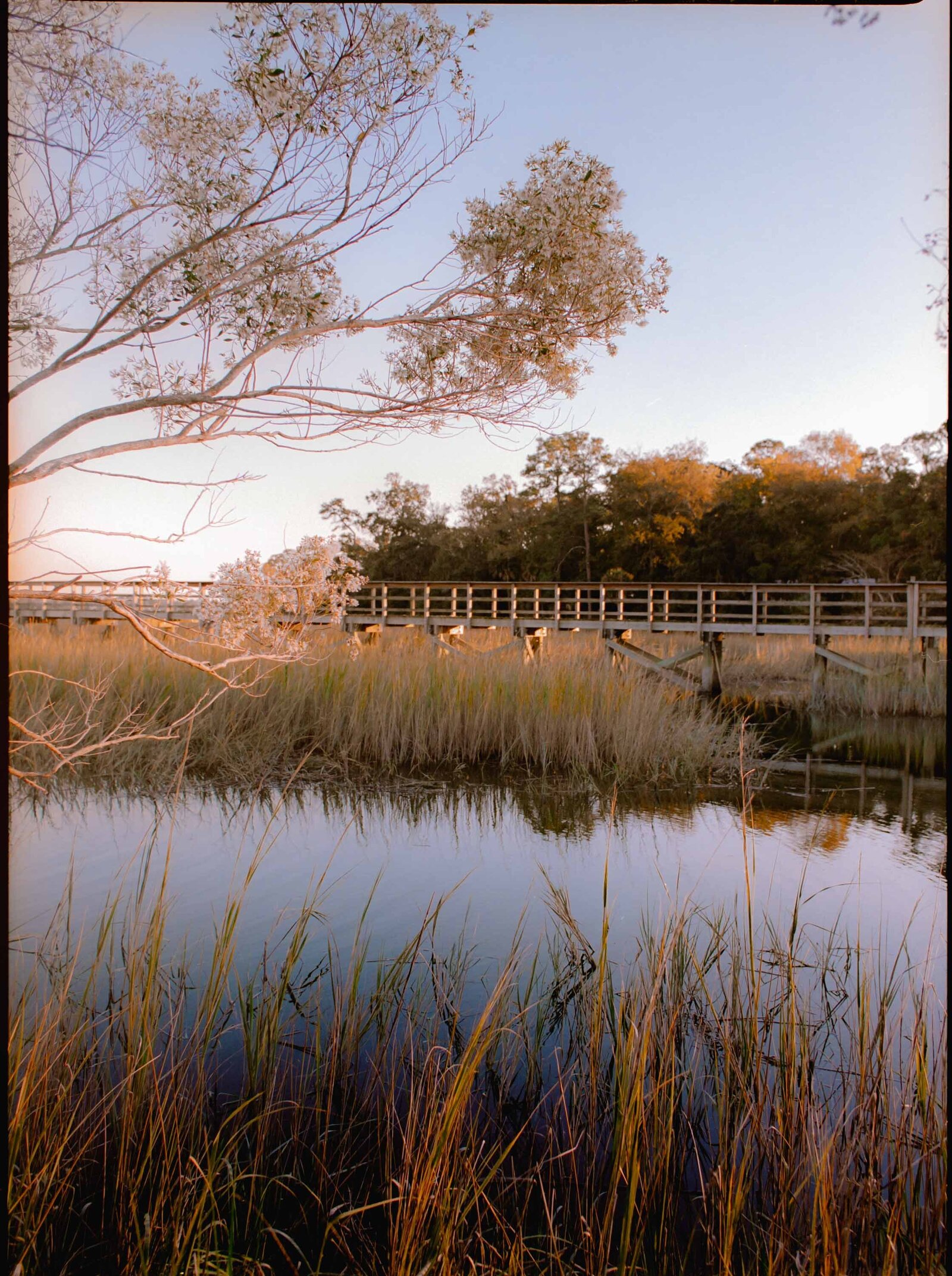 coastal-colorful-wedding-film-photos-jess-buckley-41