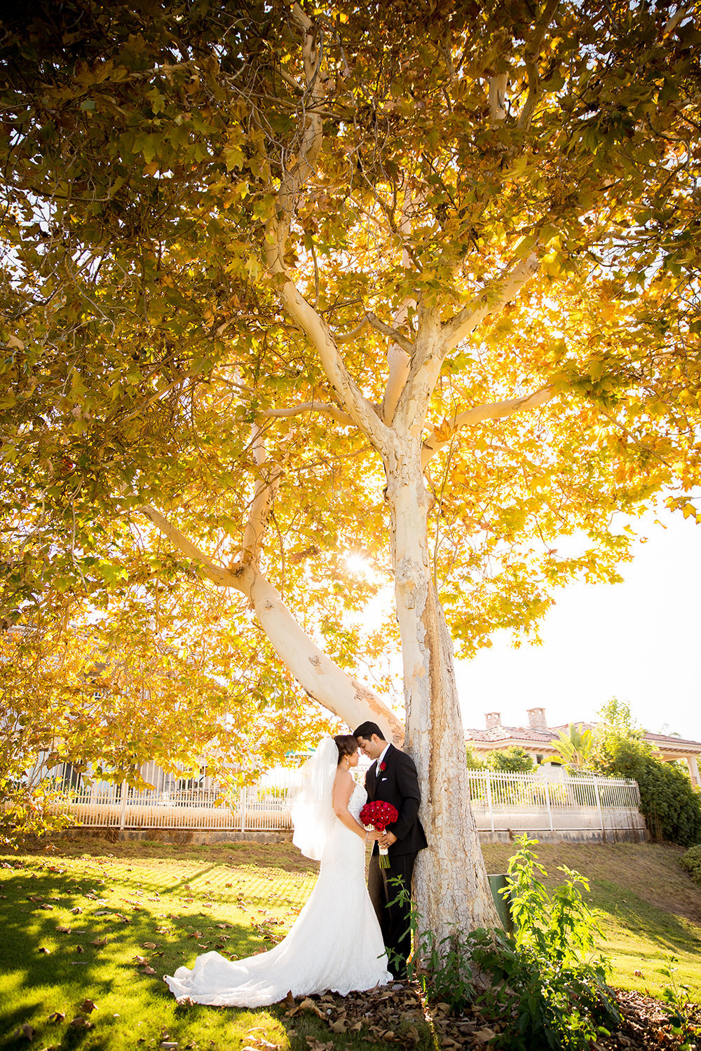 bride and groom by big tree with amazing light